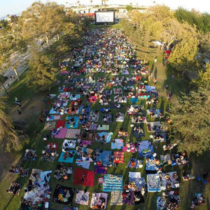 40 ft Elite Outdoor Movie System Drone View